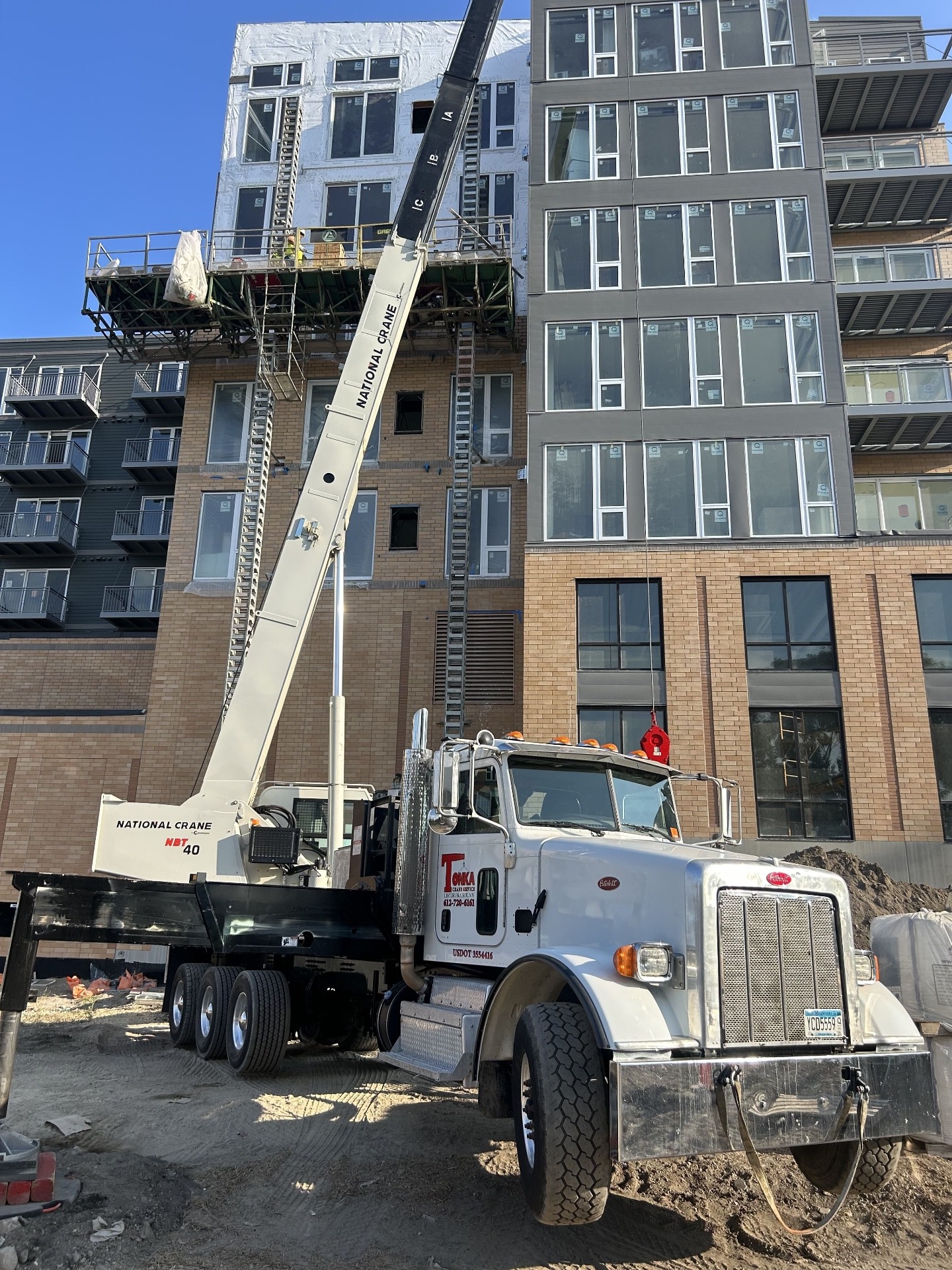 Tree Removal