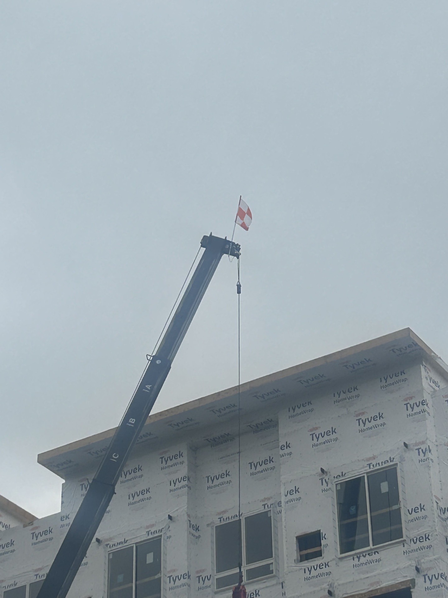 Flag Detail